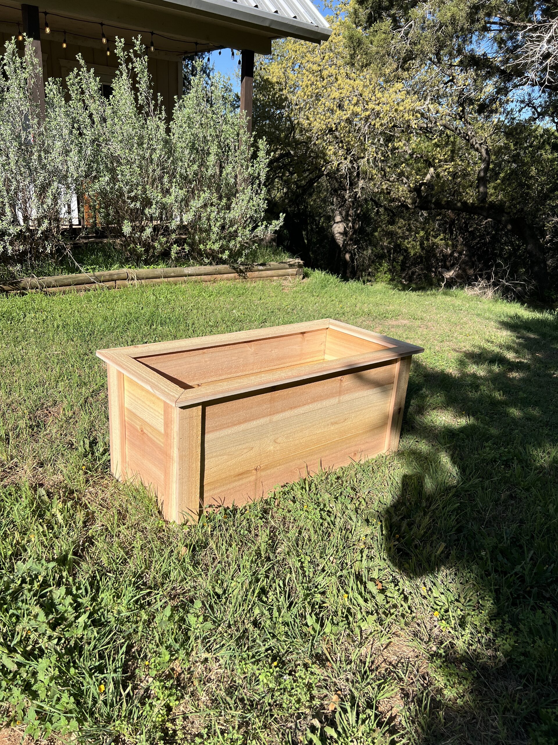 large_planter_3 - replace with descriptive alt text